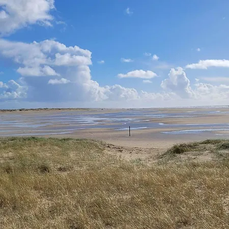 Feriehus 6 Person In Fano-by Traum *