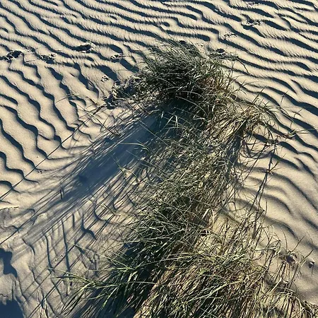 6 Person In Fano-by Traum Casa vacanze Fanø