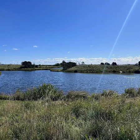 6 Person In Fano-by Traum *