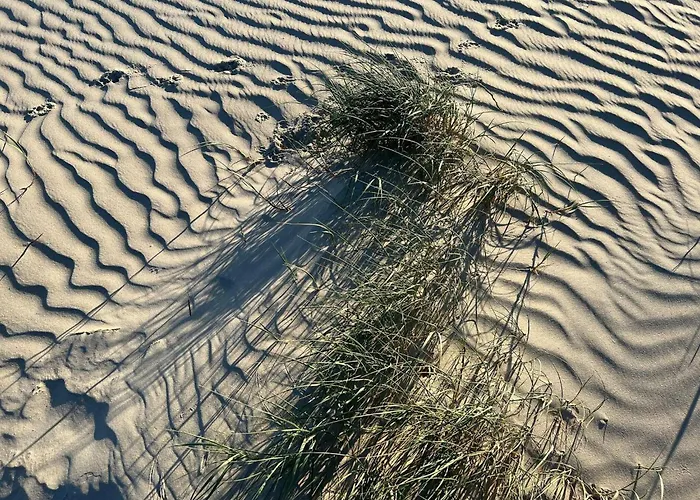 6 Person In Fano-by Traum Casa de Férias Fanø